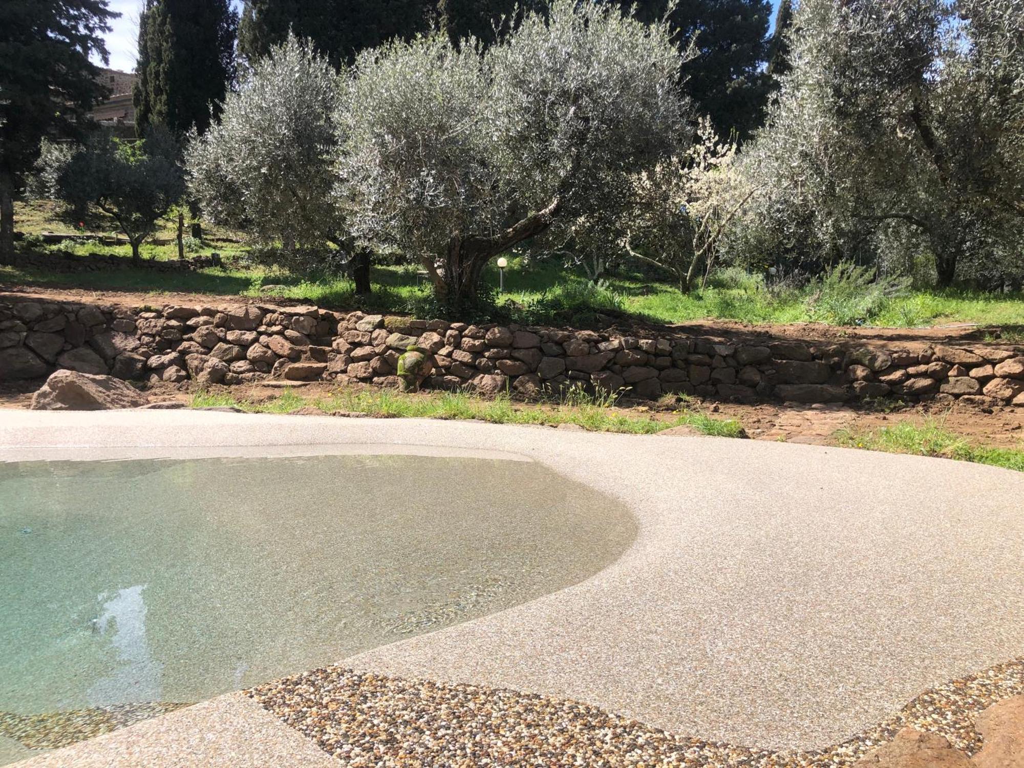 Torre Dei Belforti Montecatini Val di Cecina Dış mekan fotoğraf
